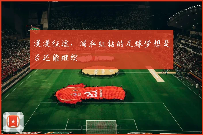 漫漫征途，浦和红钻的足球梦想是否还能继续