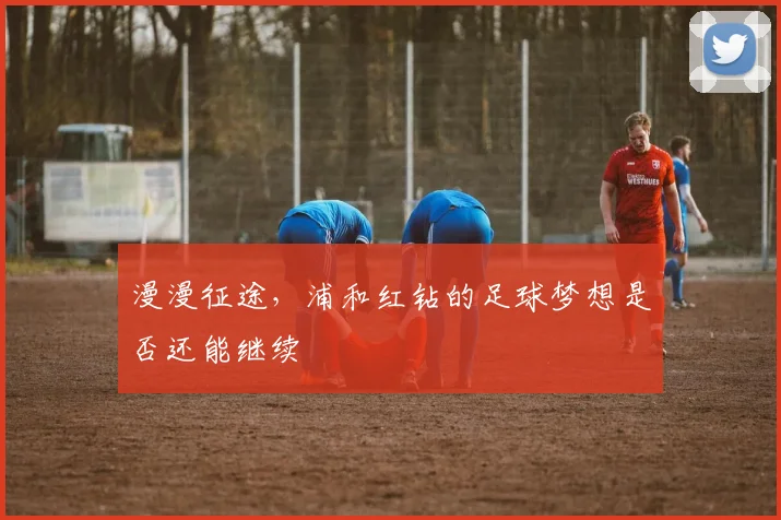 漫漫征途,浦和红钻的足球梦想是否还能继续
